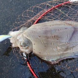 やっぱなんか渋いw